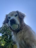 Ruby_2021_05_19_001.jpg