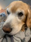 Ruby_2021_08_18_002.jpg