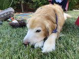 Ruby_2022_08_06_028.JPG