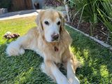 Ruby_2022_08_07_005.JPG