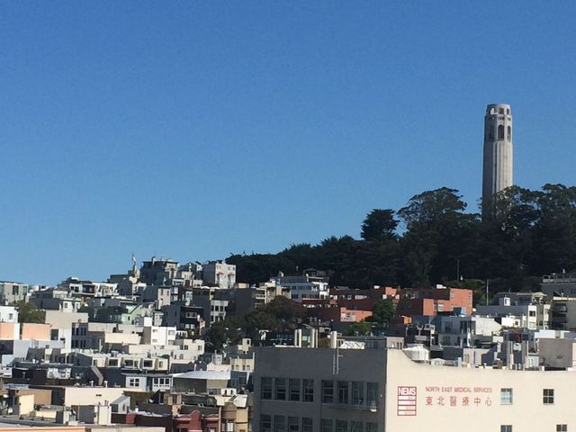 SF_2016_04_04_008.JPG