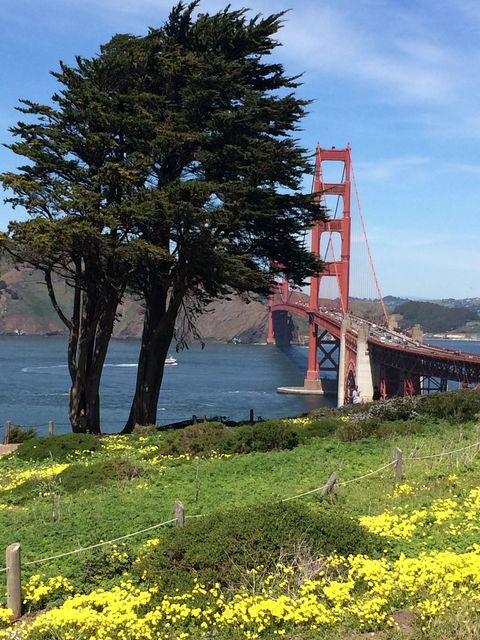 SF_2016_04_05_010.JPG
