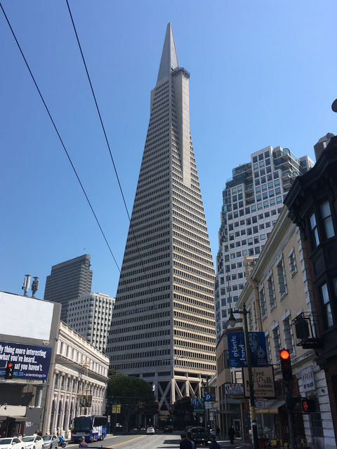 SF_2018_09_04_006_straightened.jpg