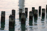 SF_2005_01_30_029.jpg