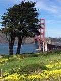 SF_2016_04_05_010.JPG