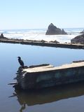 Filename=SF_2016_04_05_043.JPG
Filesize=976KiB
Dimensions=1536x2048
Date added=Nov 26, 2016 SF_2016_04_05_043.JPG