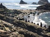 Filename=SF_2016_04_05_049.JPG
Filesize=2484KiB
Dimensions=2048x1536
Date added=Nov 26, 2016 SF_2016_04_05_049.JPG