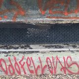 Filename=SF_2017_04_12_013.JPG
Filesize=1746KiB
Dimensions=2048x2048
Date added=May 13, 2017 SF_2017_04_12_013.JPG