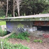 Filename=SF_2017_04_12_014.JPG
Filesize=3608KiB
Dimensions=2048x2048
Date added=May 13, 2017 SF_2017_04_12_014.JPG