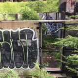 Filename=SF_2017_04_12_024.JPG
Filesize=3356KiB
Dimensions=2048x2048
Date added=May 13, 2017 SF_2017_04_12_024.JPG