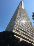 Filename=SF_2018_09_04_007.JPG
Filesize=2638KiB
Dimensions=1536x2048
Date added=Sep 23, 2018 SF_2018_09_04_007.JPG