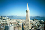 Filename=Transamerica.jpg
Filesize=2877KiB
Dimensions=1536x1024
Date added=Aug 30, 2011 Transamerica.jpg