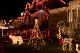 San_Carlos_Xmas0001.jpg