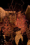 San_Carlos_Xmas0018.jpg