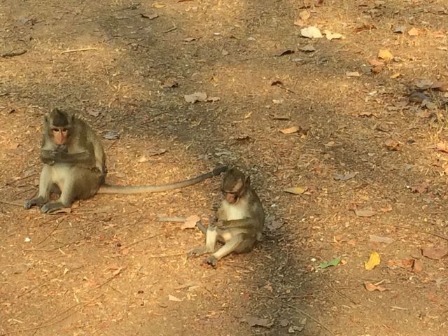 Angkor_Wat_2016_03_12_117.JPG