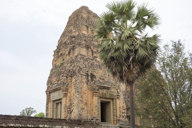 Pre_Rup_2016_03_12_011.jpg