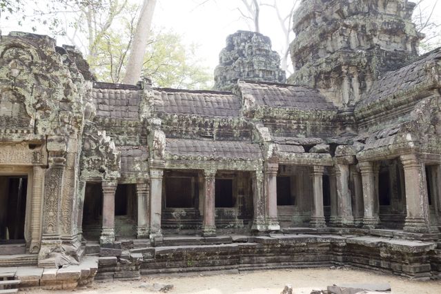 Ta_Prohm_2016_03_10_014.jpg