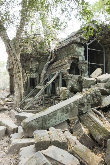 Ta_Prohm_2016_03_10_020.jpg