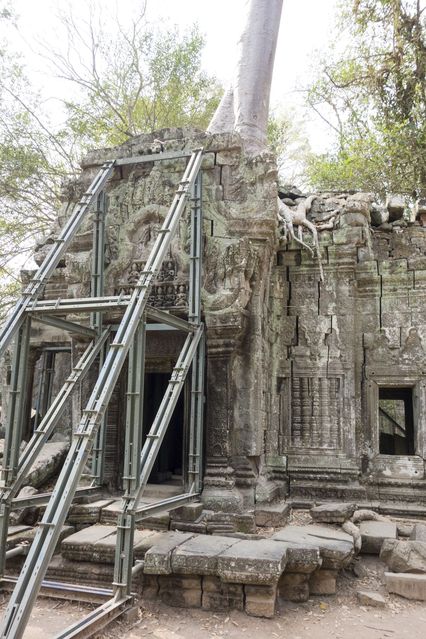 Ta_Prohm_2016_03_10_026.jpg
