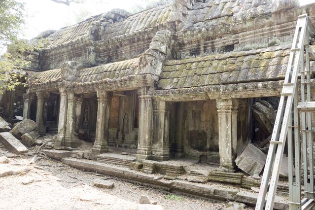 Ta_Prohm_2016_03_10_029.jpg