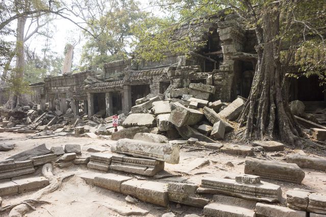Ta_Prohm_2016_03_10_032.jpg