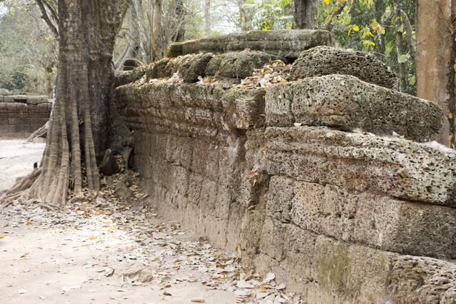Ta_Prohm_2016_03_10_073.jpg