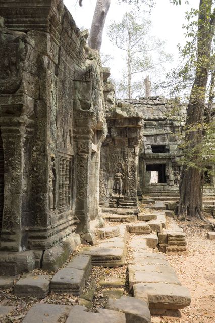 Ta_Prohm_2016_03_10_084.jpg