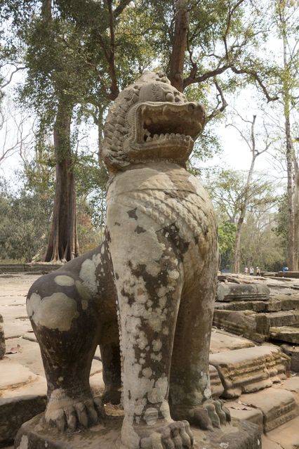 Ta_Prohm_2016_03_10_085.jpg
