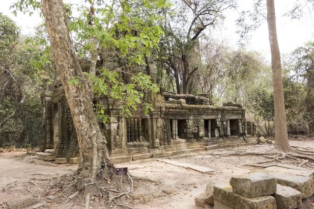 Ta_Prohm_2016_03_10_087.jpg