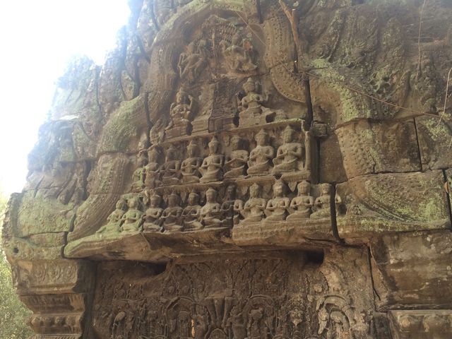 Ta_Prohm_2016_03_10_096.JPG