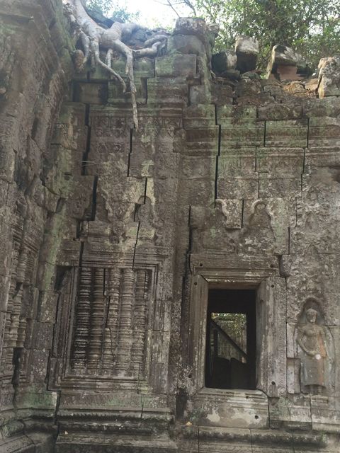 Ta_Prohm_2016_03_10_097.JPG