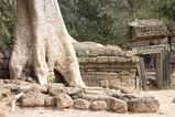 Filename=Ta_Prohm_2016_03_10_011.jpg
Filesize=15991KiB
Dimensions=2047x1365
Date added=Nov 13, 2016 Ta_Prohm_2016_03_10_011.jpg