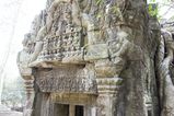 Ta_Prohm_2016_03_10_023.jpg
