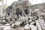 Ta_Prohm_2016_03_10_035.jpg
