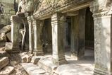 Ta_Prohm_2016_03_10_038.jpg