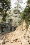 Ta_Prohm_2016_03_10_049.jpg