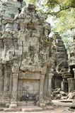 Ta_Prohm_2016_03_10_050.jpg