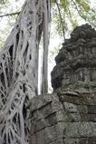 Ta_Prohm_2016_03_10_057.jpg