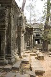 Ta_Prohm_2016_03_10_084.jpg