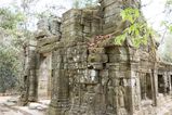 Ta_Prohm_2016_03_10_088.jpg