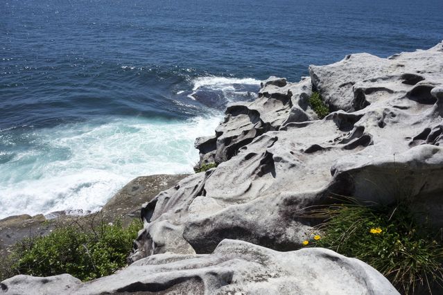 Sydney_2016_02_08_018.jpg
