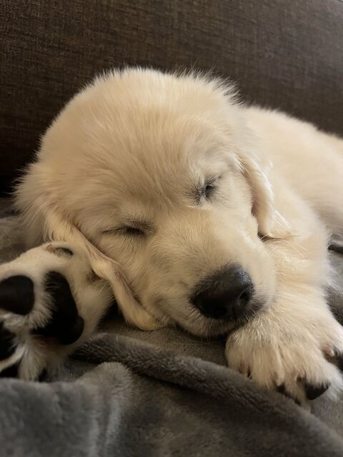 [10 weeks old]
