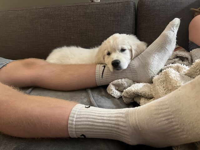 [10 weeks old]
