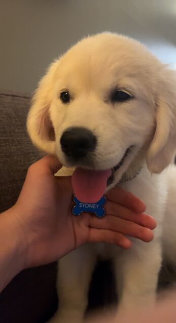 [10 weeks old]
