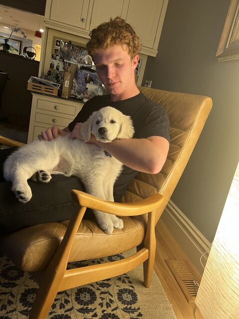 [11 weeks old]
