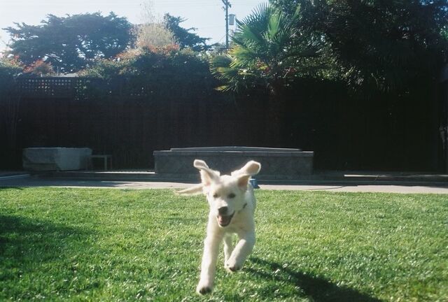[9 months old]
