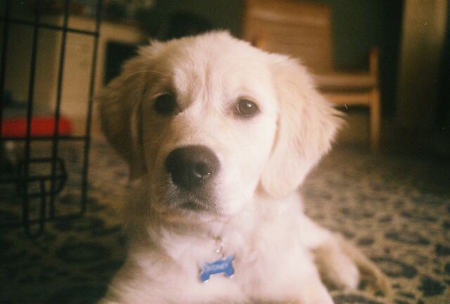 [11 months old]
