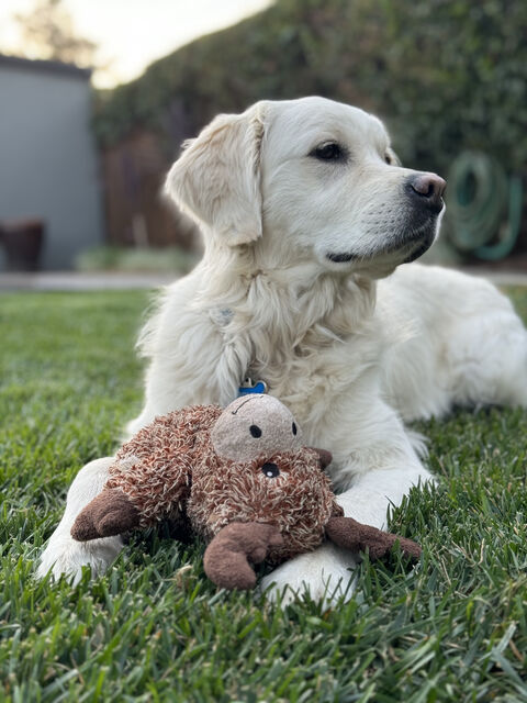 [16 months old]
