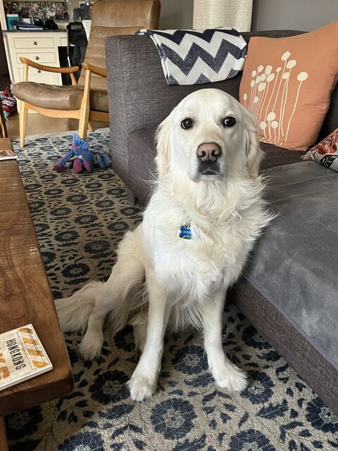 well? [1-3/4 years old]
