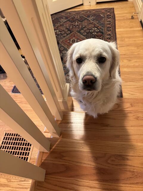 the view we see every day [1-3/4 years old]
